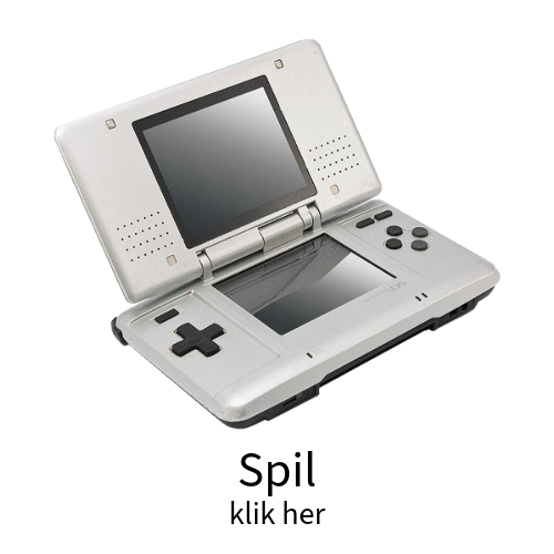 Nintendo DS Spil