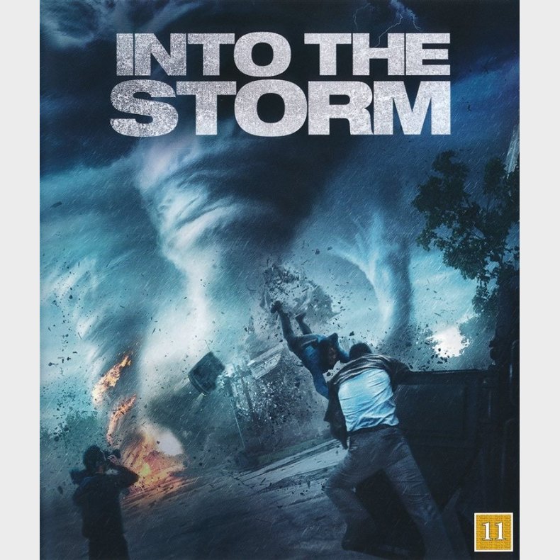 Into the Storm