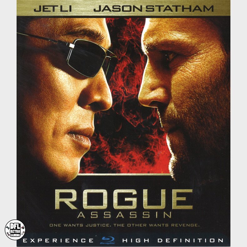 Rogue Assassin
