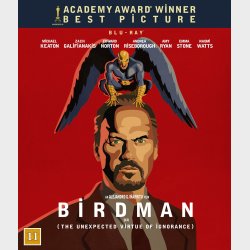 Birdman or (The Unexpected Virtue of Ignorance)