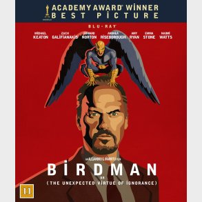 Birdman or (The Unexpected Virtue of Ignorance)