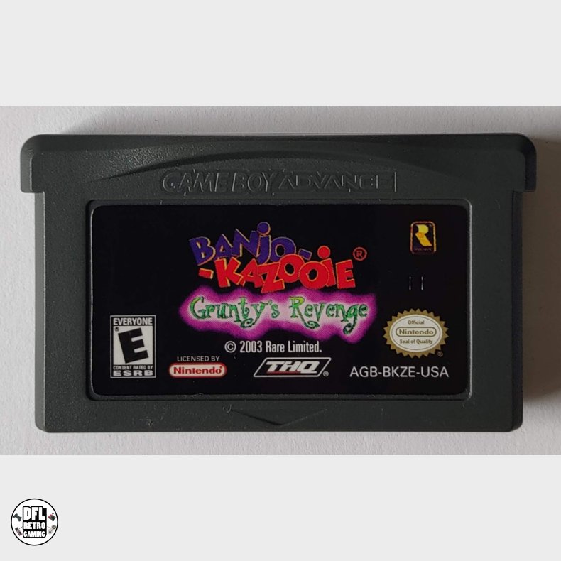 BANJO-KAZOOIE GPUNTYS REVENGE