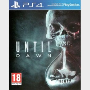 Until Dawn