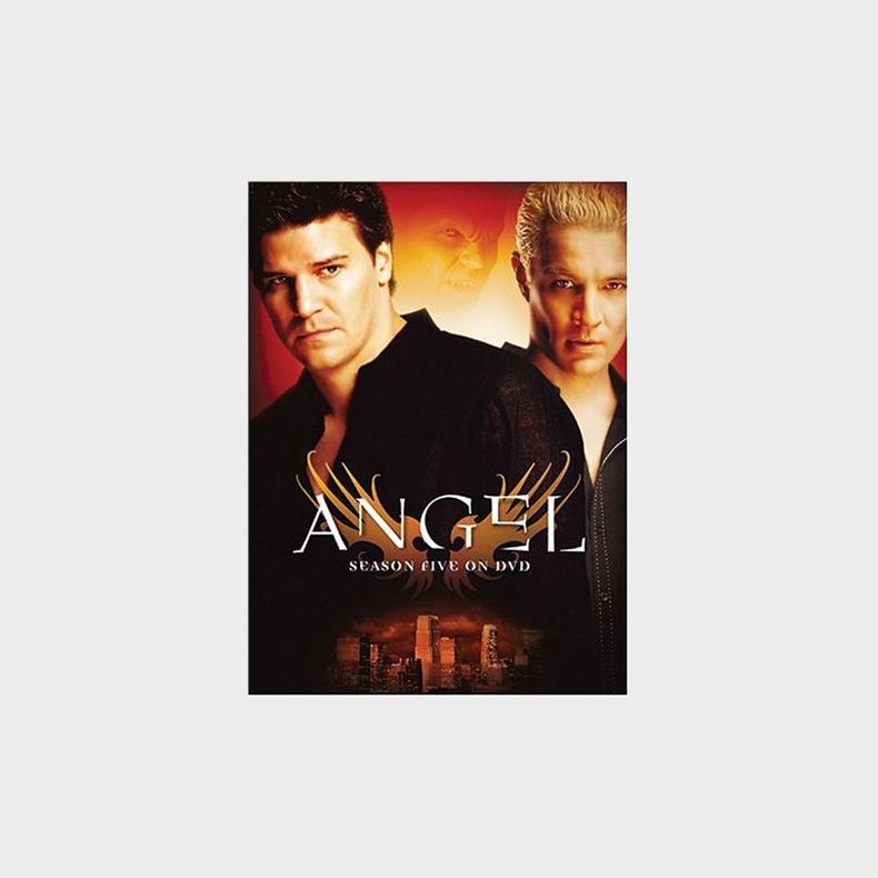 Angel: Season Five DVD Collection - DVD, 2003