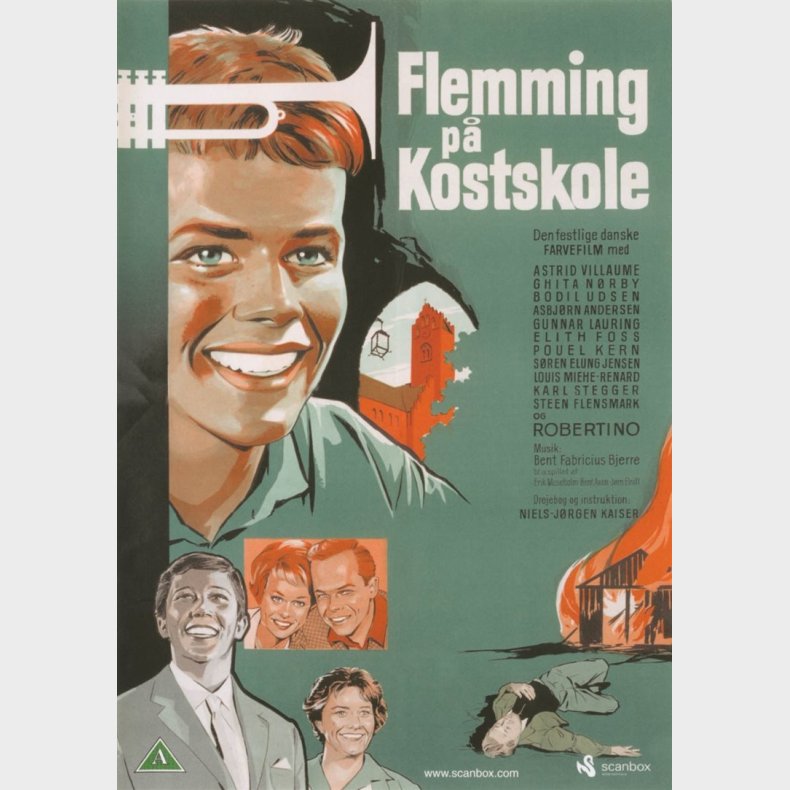 Flemming p kostskole