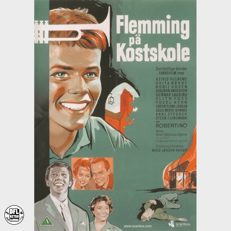 Flemming p kostskole