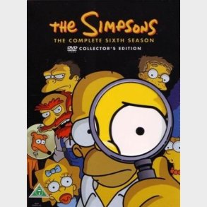 Simpsons Sson 6 - DVD, 1995
