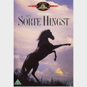 Den Sorte Hingst