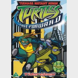 Teenage Mutant Ninja Turtles 08