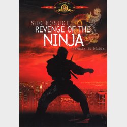 Revenge Of The Ninja