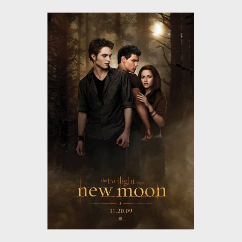 The Twilight Saga: New Moon