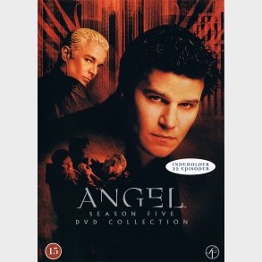 Angel: Season Five DVD Collection