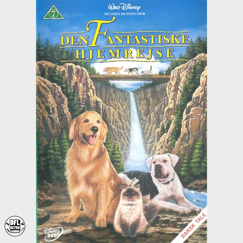 Den fantastiske hjemrejse